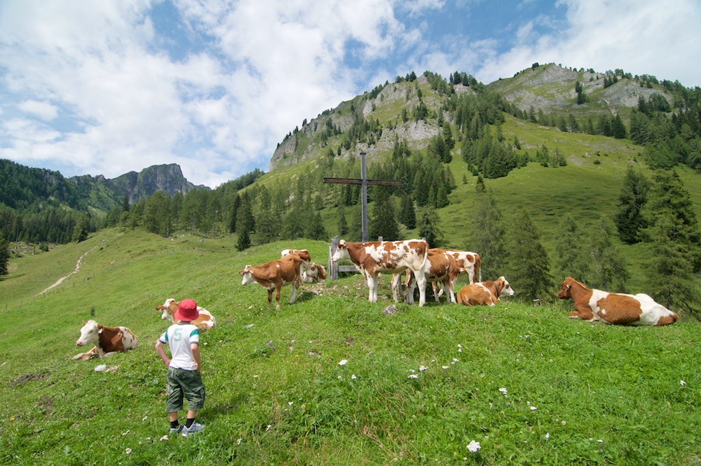 DSC_4897 - Version 2