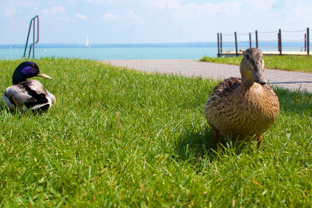 DSC_7398 - Version 2