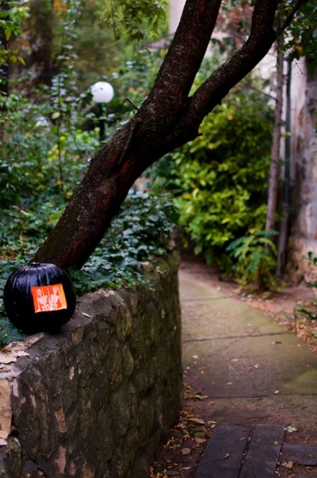 DSC_0387 - Version 2